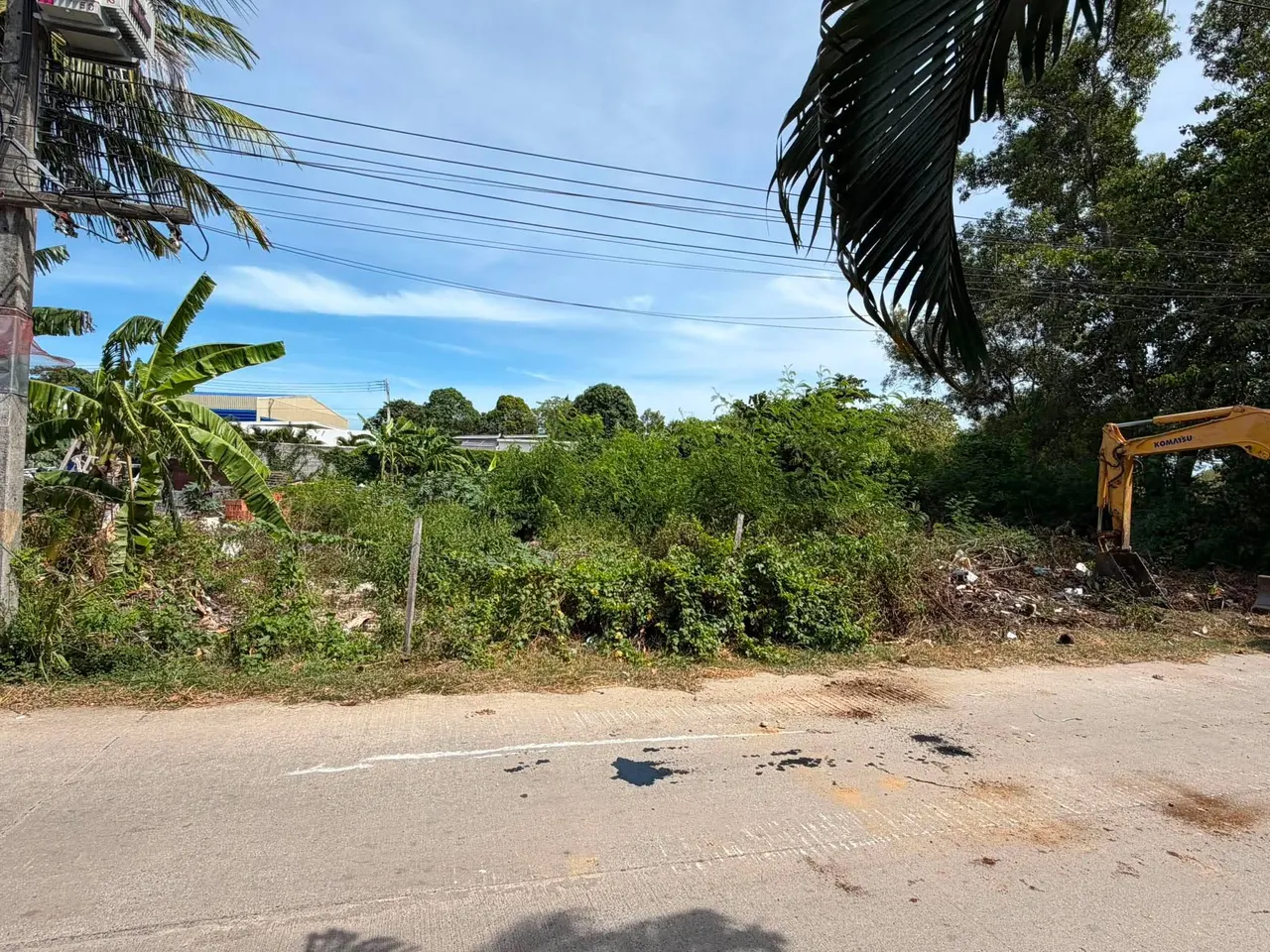 Overgrown roadside plot full of waste before the work began