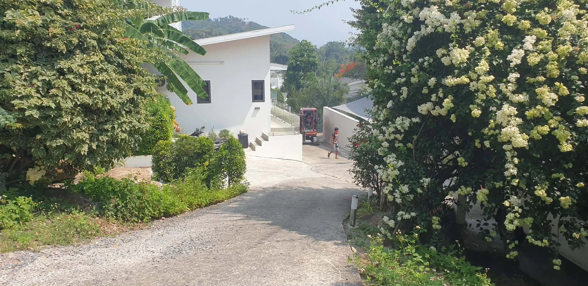 Narrow overgrown access path leading to the client's hilltop villa near Chaweng