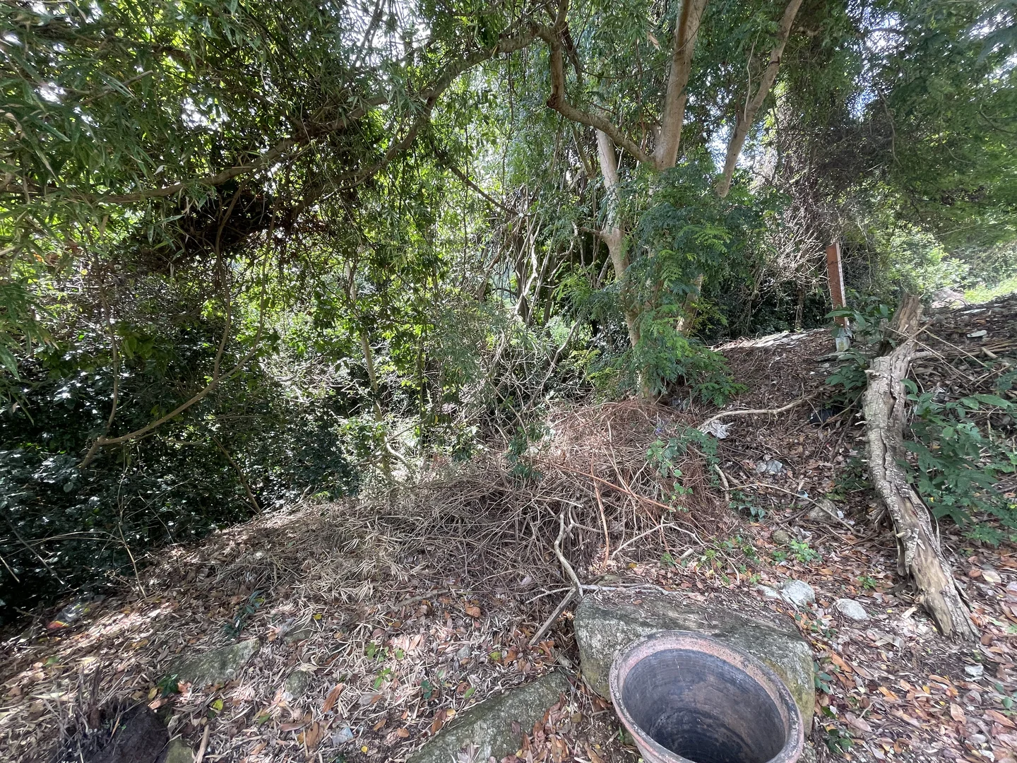 Waterfall hidden in the dense vegetation beside the villa - the destination for the stone path