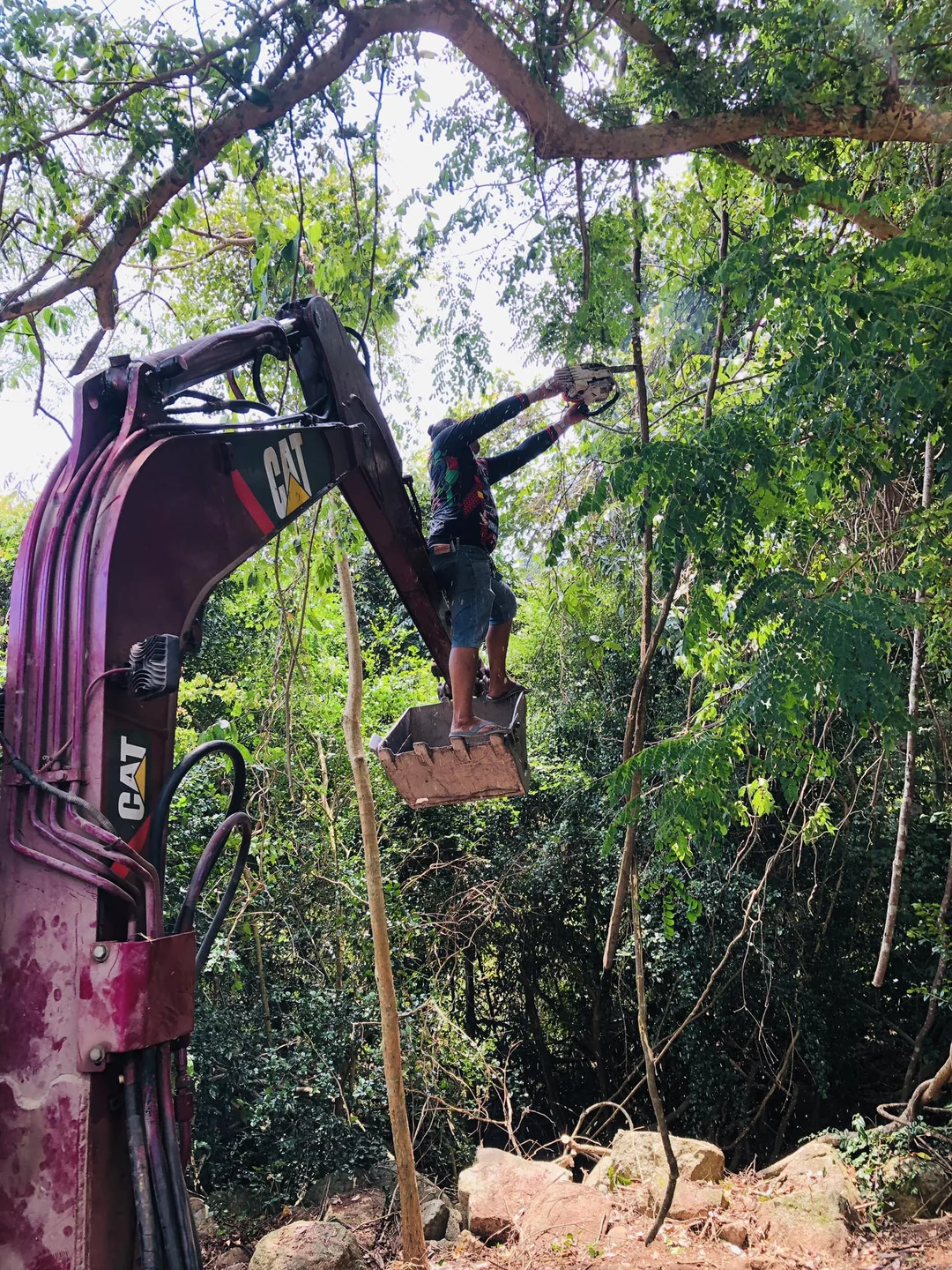 Our worker standing on the excavator arm operating a chainsaw to clear trees on the steep slope