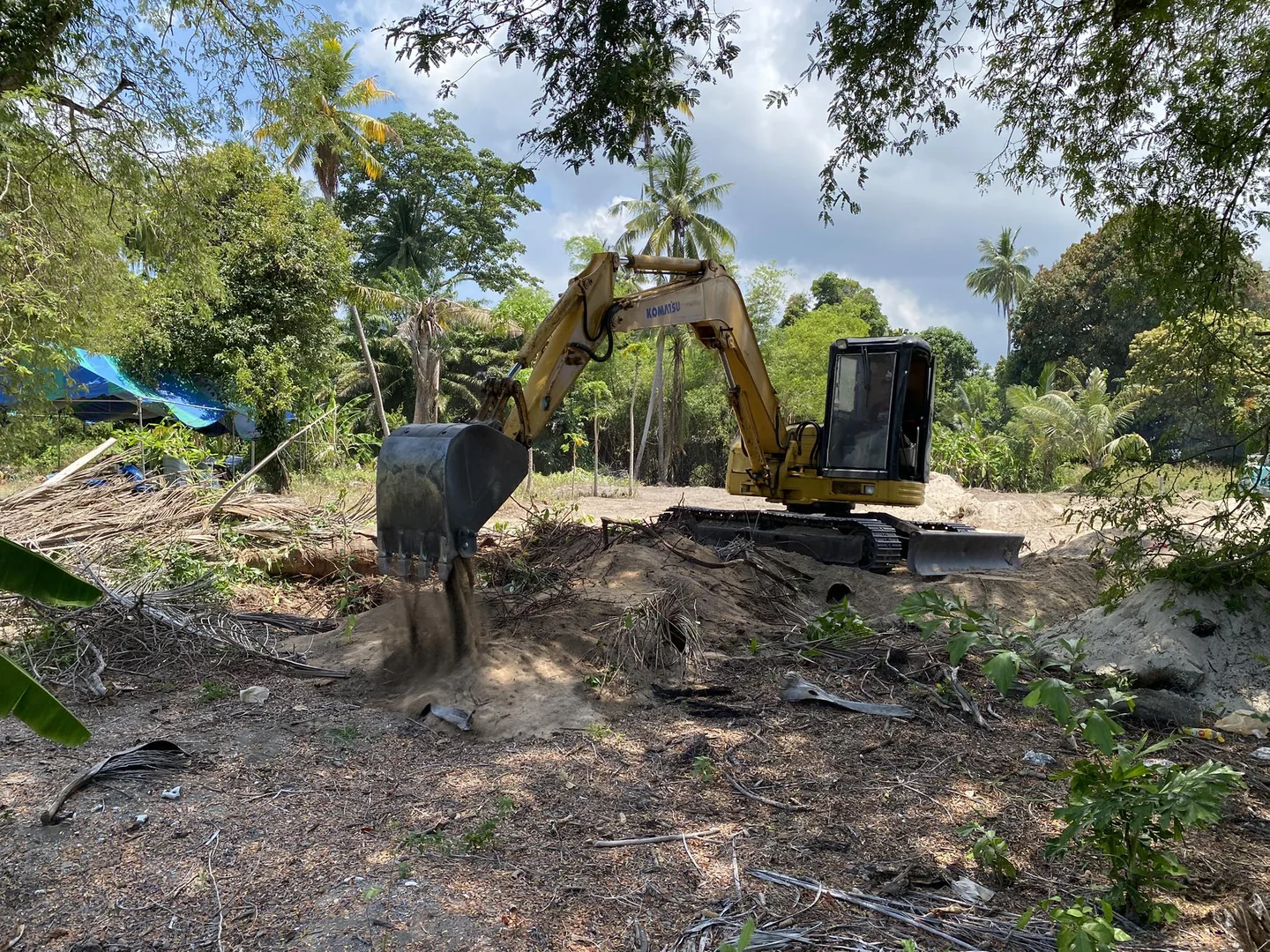 Excavator digging out palm tree roots to fully clear the plot