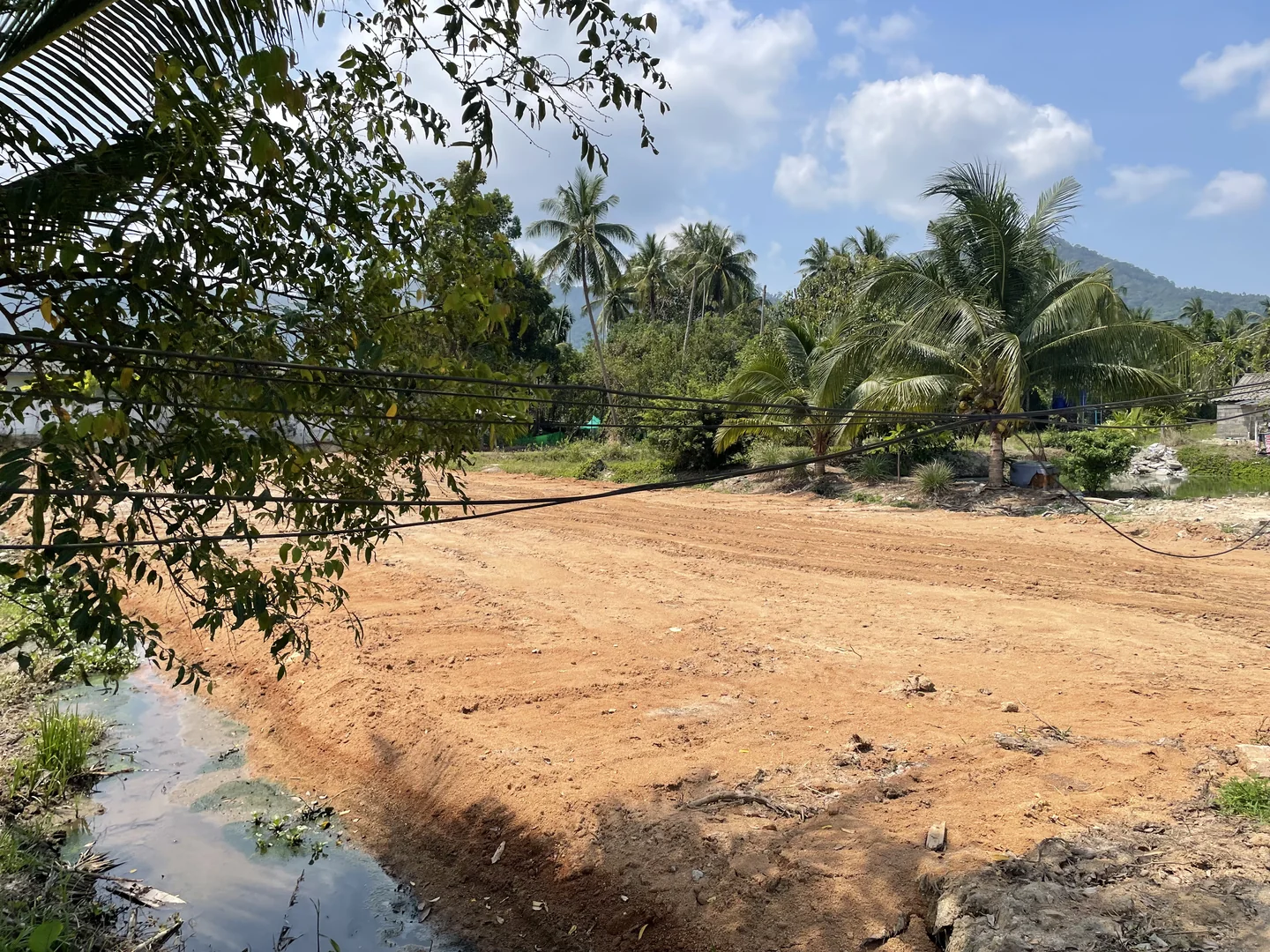Plot cleared, filled and leveled - dry and ready for use
