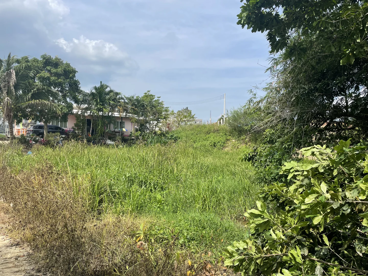 Waterlogged, overgrown plot in Maenam before any work began