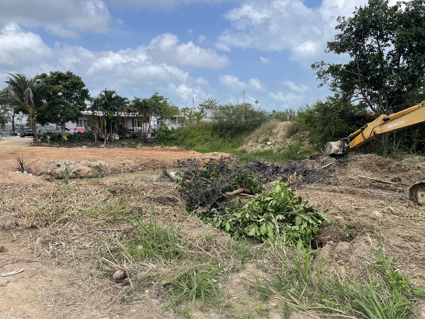 Excavator cleared the dense vegetation, exposing the waterlogged ground beneath