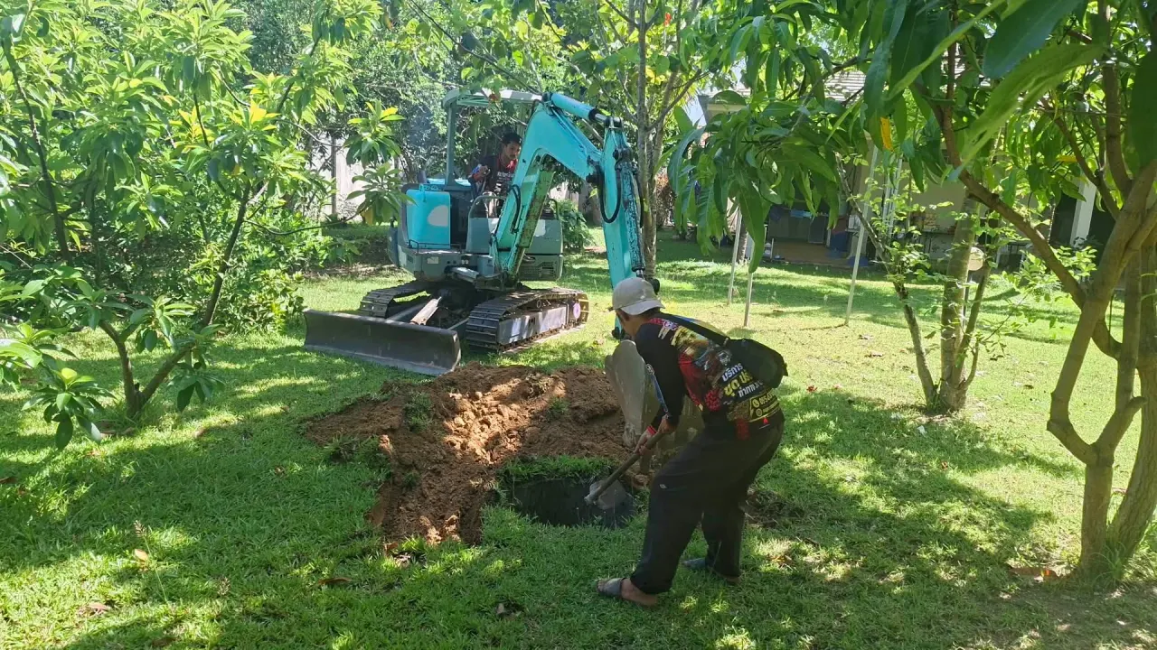 Compact excavator carefully digging out a tree in the client's garden