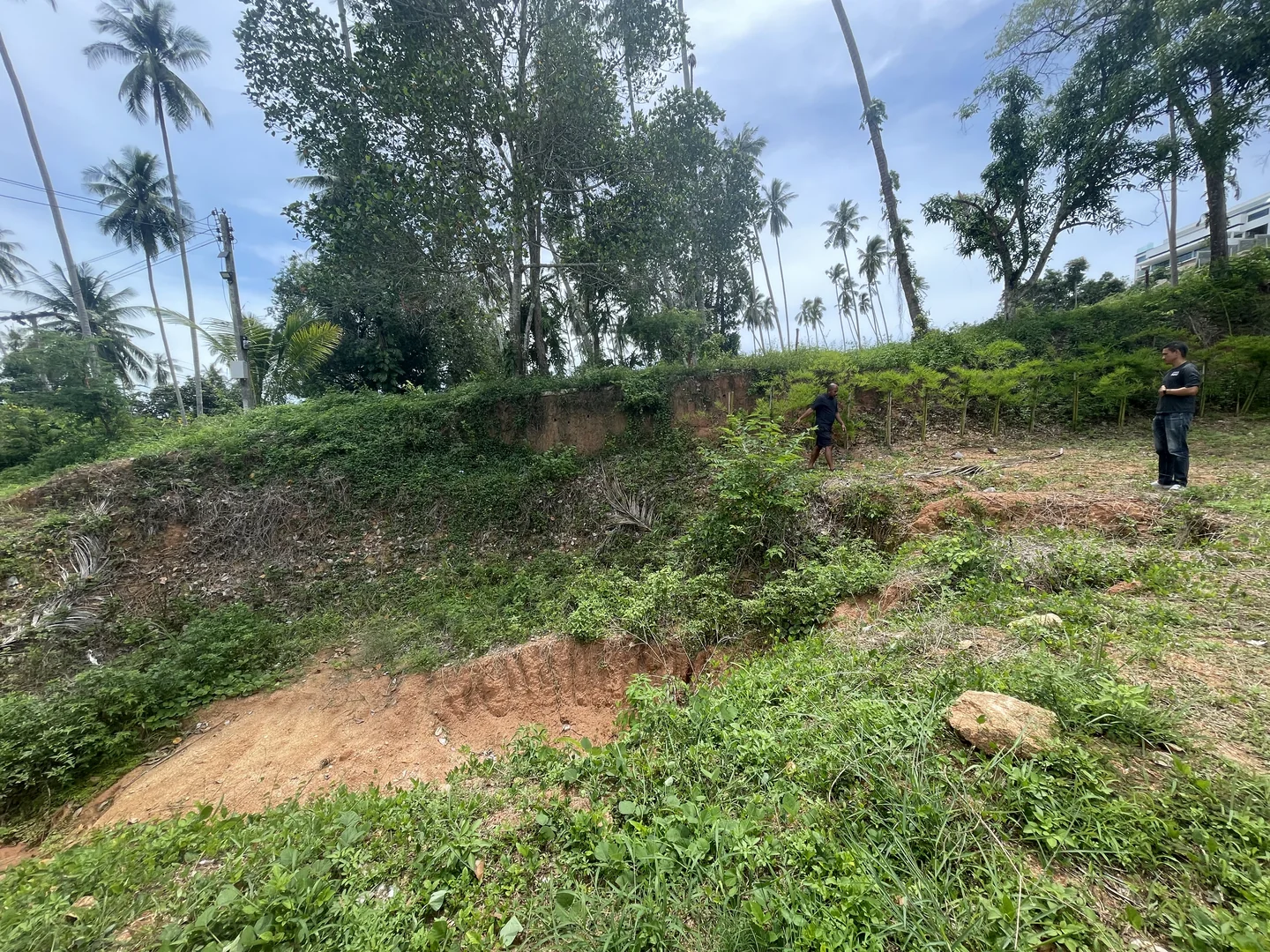 Plot before excavation - ground level, no pit