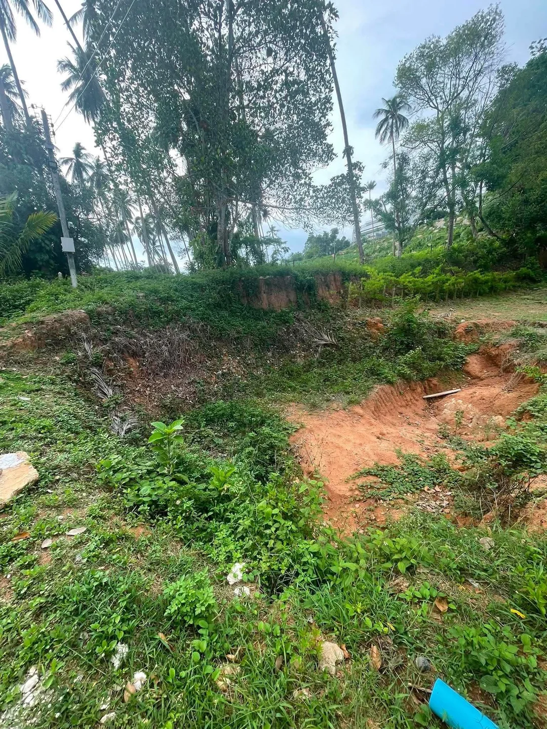 Site overview before the pool pit excavation started