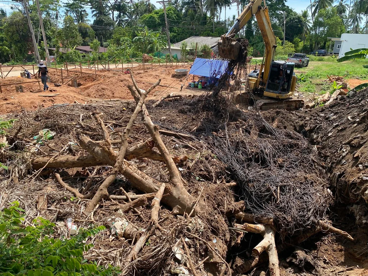 Site clearance in Nathon - trees, roots and wire removal
