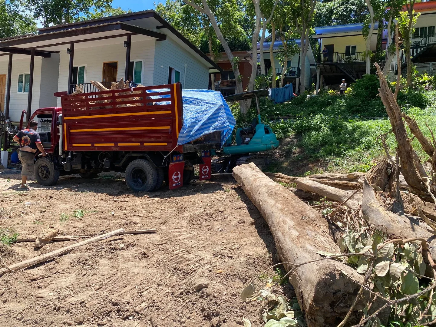 Loading felled trees and stumps into the Hino 300 truck for removal