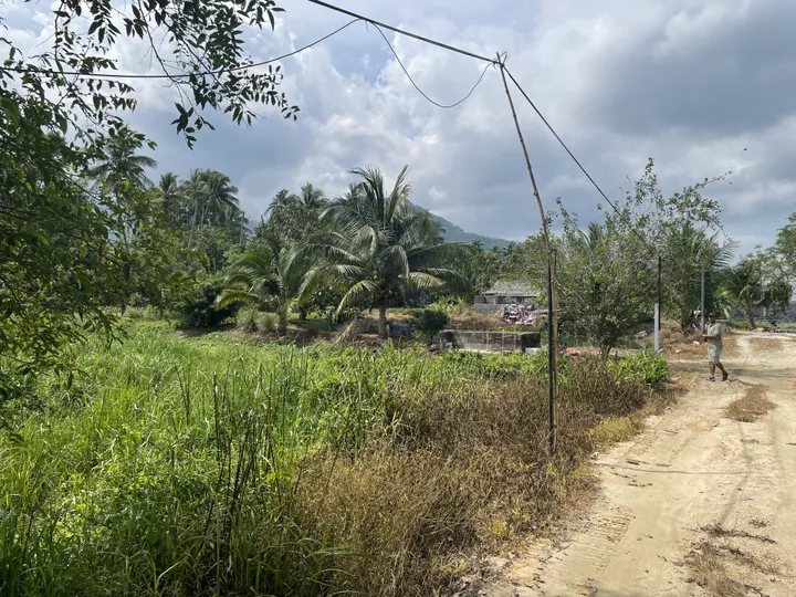 Swampy land before drainage and leveling in Maenam Koh Samui
