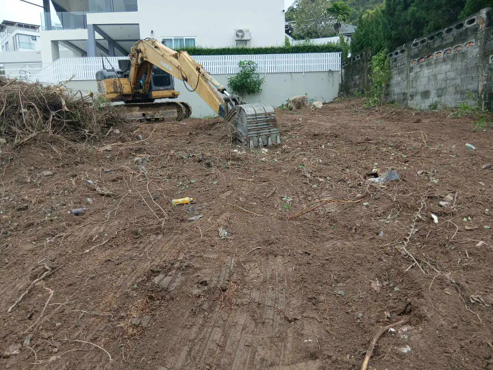 Clearing bushes and vegetation, preparing land for construction