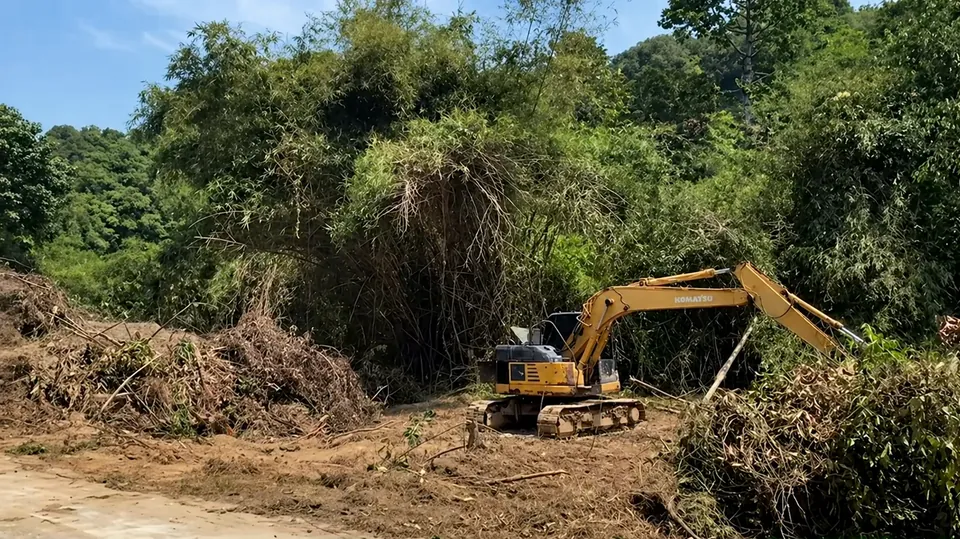 Clearing dense jungle vegetation before construction on Koh Samui