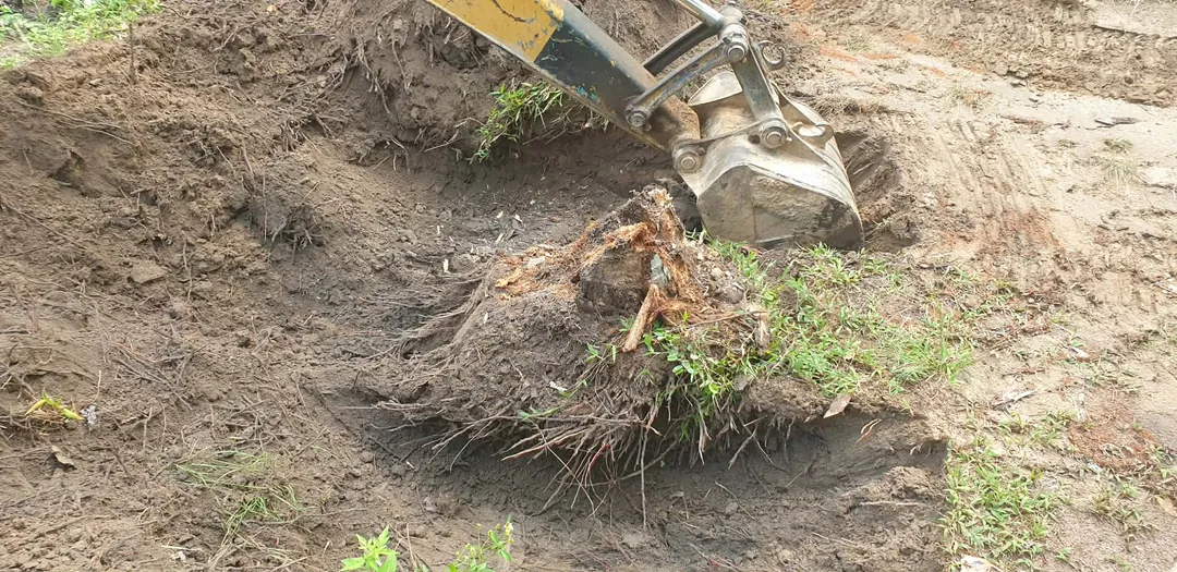 Removing tree roots with excavator on Koh Samui land